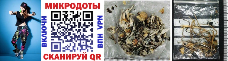Псилоцибиновые грибы Cubensis где купить наркотик Южноуральск